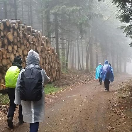 Urlaubsdomizil Am Toepfer - Ferienwohnungen In 올베르스도프 외부 사진