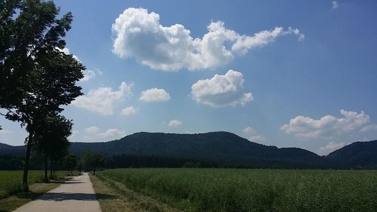 Urlaubsdomizil Am Toepfer - Ferienwohnungen In 올베르스도프 외부 사진